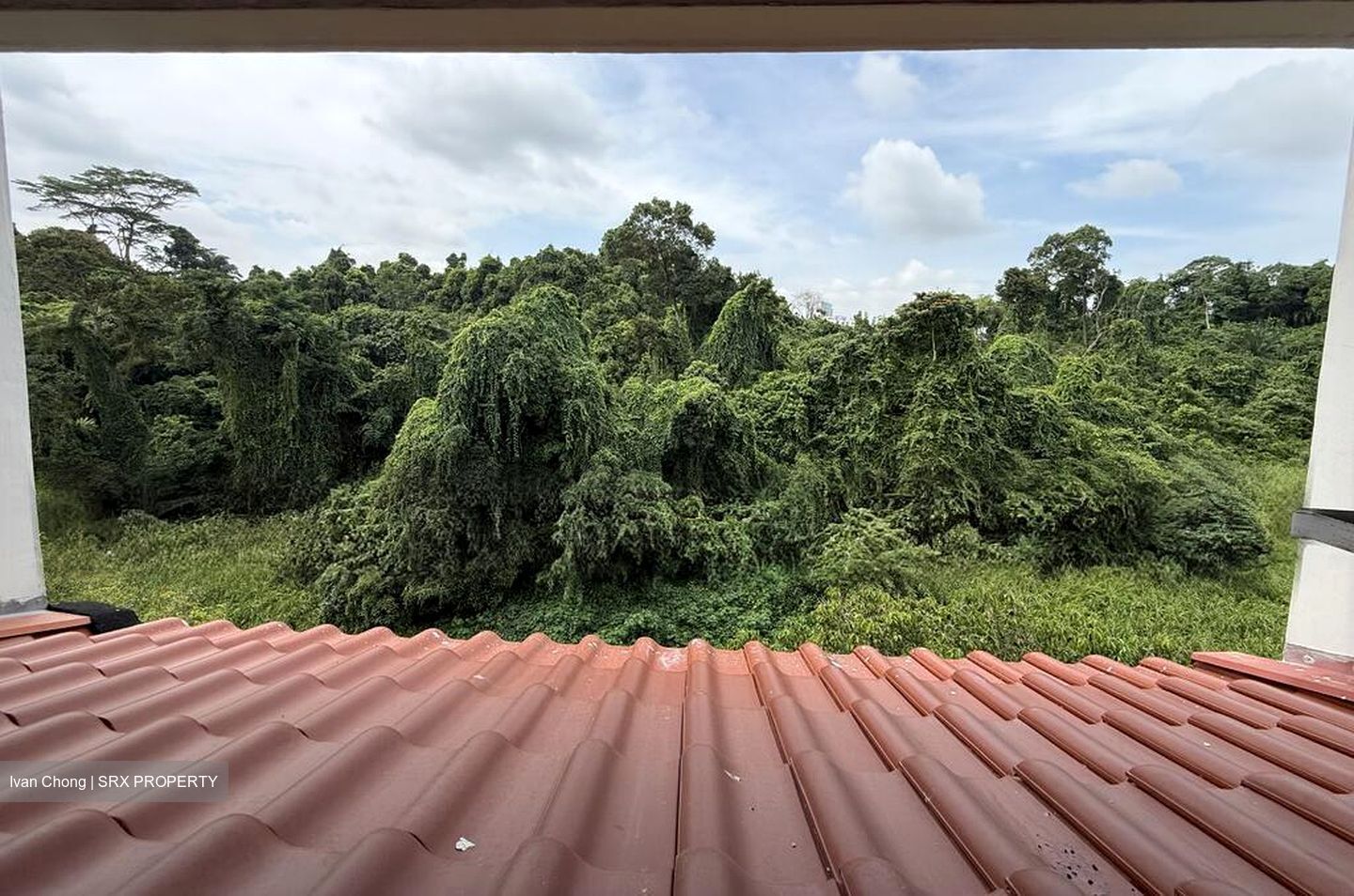 Blk 542 Guilin Breeze (Bukit Batok), HDB Executive #515614681